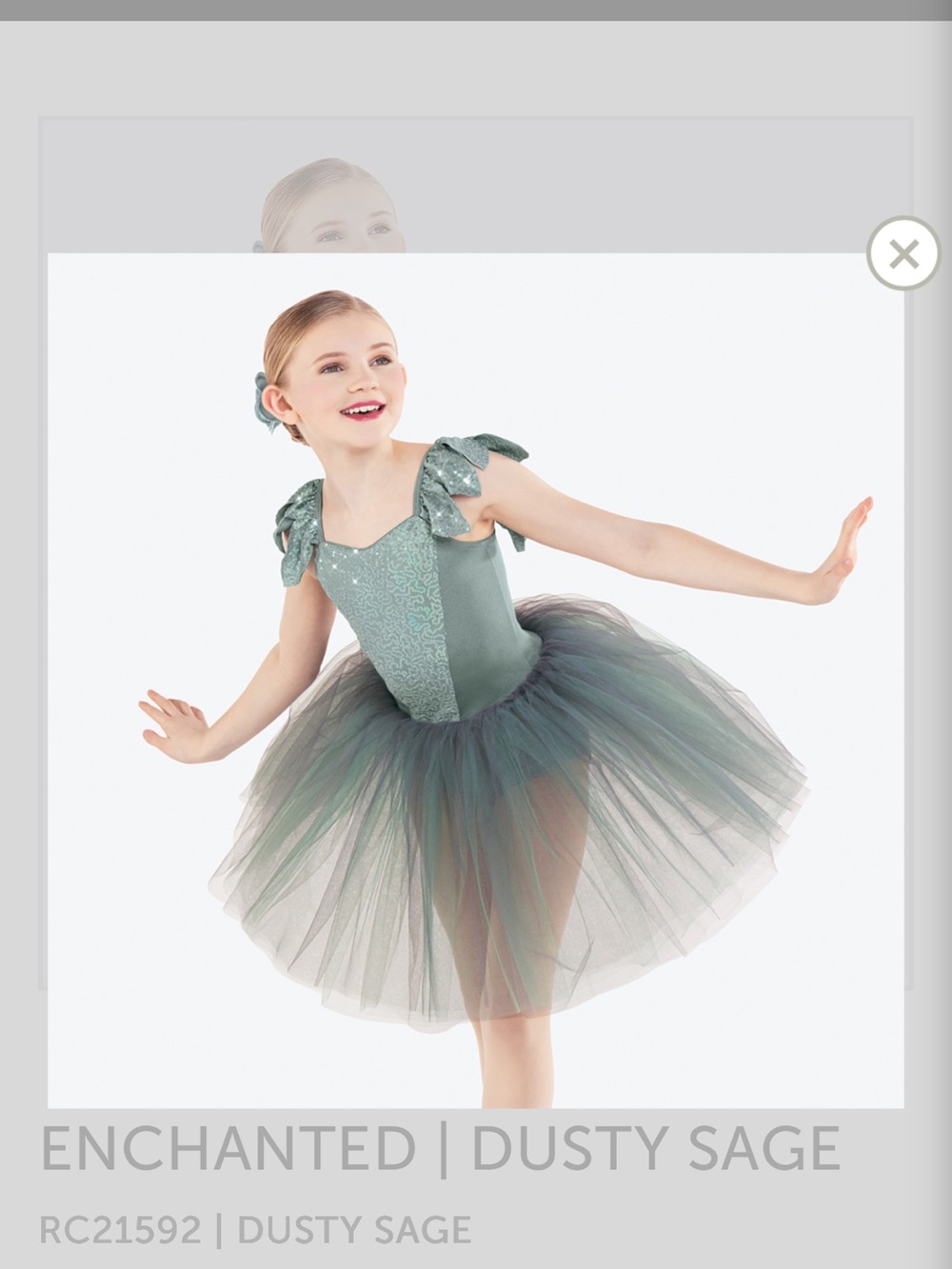 Revolution Enchanted Dusty Sage Tutu Costume - Size: large child